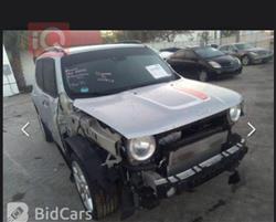 جيب رينيجيد